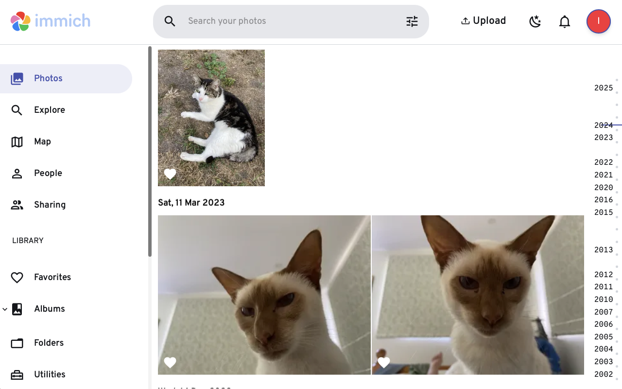Immich screenshot showing the main photo timeline