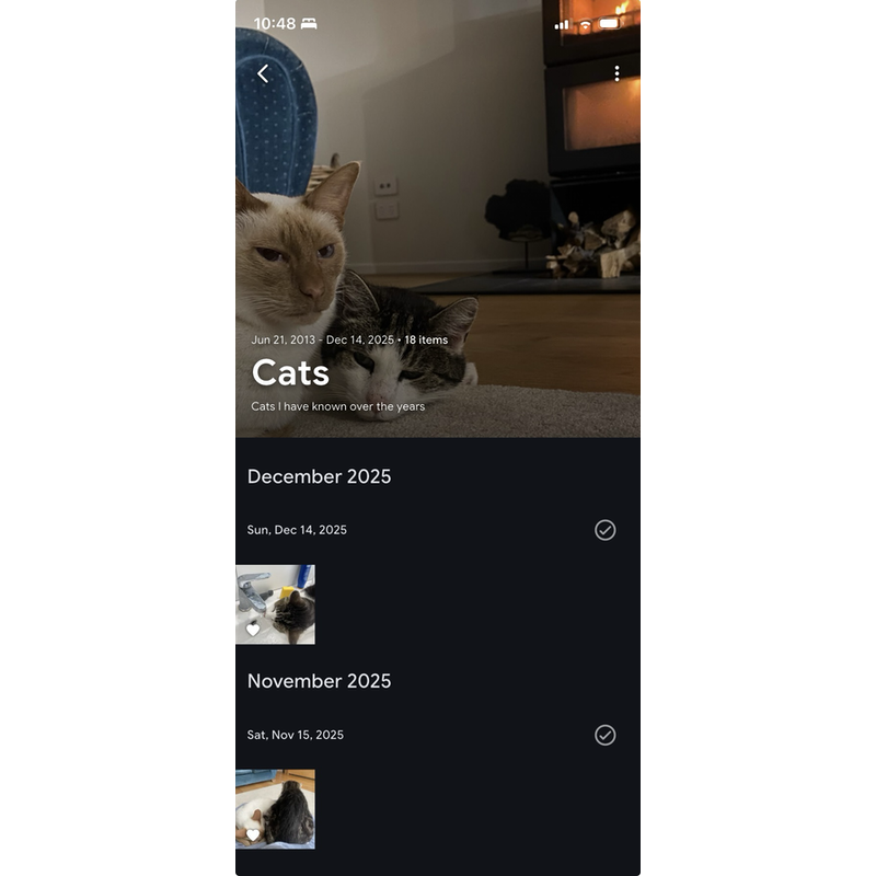 Screenshot of the Immich mobile app, showing an album of cat photos