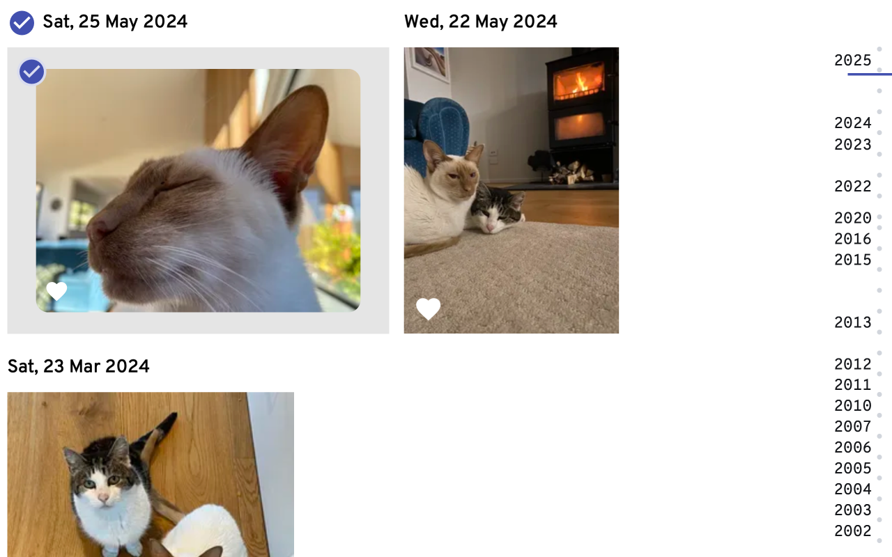 Immich screenshot showing a timeline with cat photos