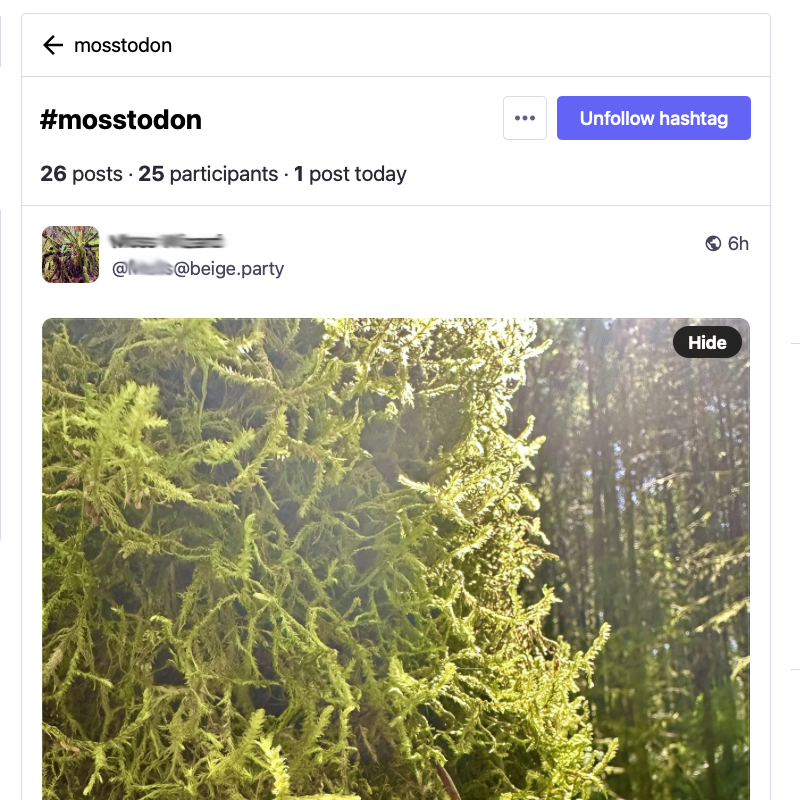 Mastodon screenshot, showing a timeline for the #mosstodon hashtag