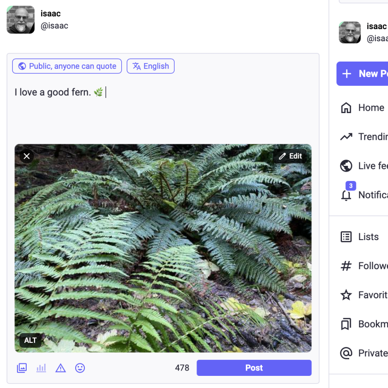 Mastodon screenshot showing a post being edited.