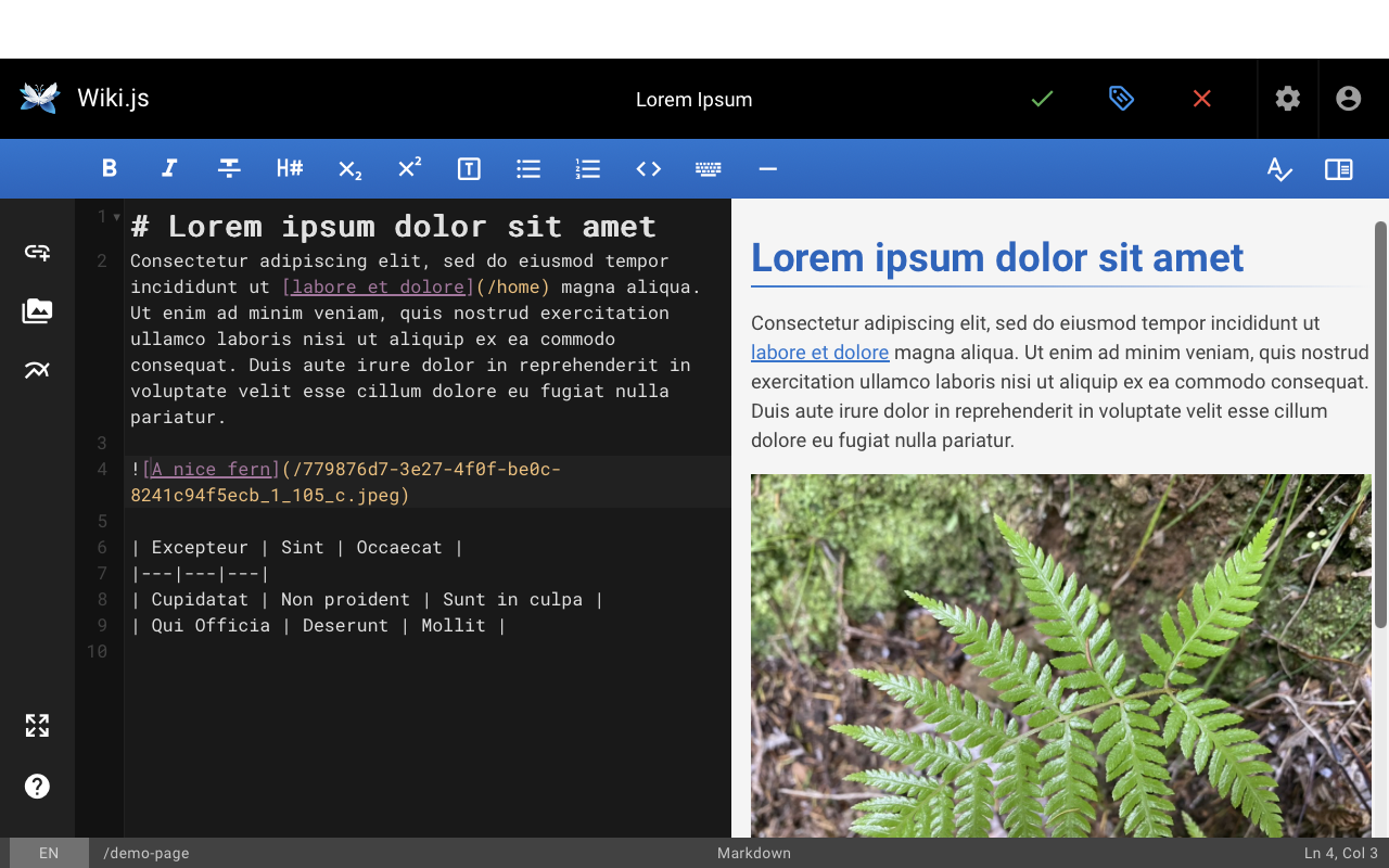 Wiki.js screenshot, showing a page being edited